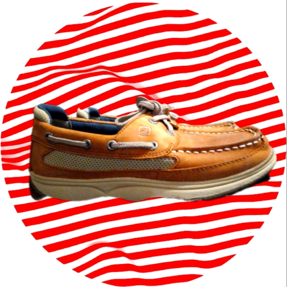 Sperry Topsail Lanyard Boys Shoes